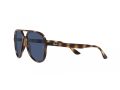 Ray-Ban Sonnenbrille RB 4376 710/80