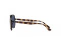 Ray-Ban Sonnenbrille RB 4376 710/80