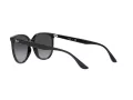Ray-Ban Sonnenbrille RB 4378 601/8G