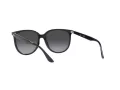 Ray-Ban Sonnenbrille RB 4378 601/8G