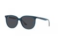 Ray-Ban Sonnenbrille RB 4378 669487
