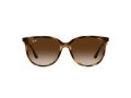 Ray-Ban Sonnenbrille RB 4378 710/13