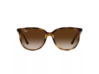 Ray-Ban Sonnenbrille RB 4378 710/13