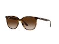 Ray-Ban Sonnenbrille RB 4378 710/13
