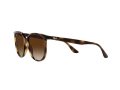 Ray-Ban Sonnenbrille RB 4378 710/13
