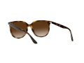 Ray-Ban Sonnenbrille RB 4378 710/13