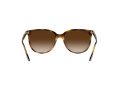 Ray-Ban Sonnenbrille RB 4378 710/13