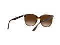Ray-Ban Sonnenbrille RB 4378 710/13