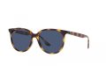 Ray-Ban Sonnenbrille RB 4378 710/80