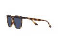 Ray-Ban Sonnenbrille RB 4378 710/80