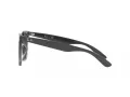Ray-Ban Sonnenbrille RB 4379D 659987
