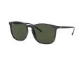 Ray-Ban Sonnenbrille RB 4387 601/71