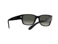 Ray-Ban Sonnenbrille RB 4388 601/71