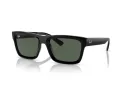 Ray-Ban Warren Sonnenbrille RB 4396 667771