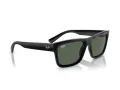 Ray-Ban Warren Sonnenbrille RB 4396 667771