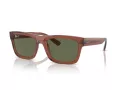 Ray-Ban Warren Sonnenbrille RB 4396 66789A