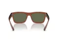 Ray-Ban Warren Sonnenbrille RB 4396 66789A