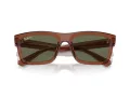 Ray-Ban Warren Sonnenbrille RB 4396 66789A