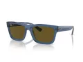 Ray-Ban Warren Sonnenbrille RB 0RB4396 668073