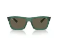 Ray-Ban Warren Sonnenbrille RB 0RB4396 6681/3