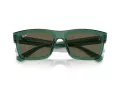Ray-Ban Warren Sonnenbrille RB 0RB4396 6681/3