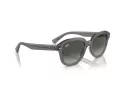 Ray-Ban Erik Sonnenbrille RB 0RB4398 667571