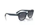 Ray-Ban Erik Sonnenbrille RB 0RB4398 667678