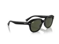 Ray-Ban Erik Sonnenbrille RB 4398 901/31