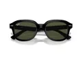 Ray-Ban Erik Sonnenbrille RB 4398 901/31