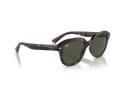 Ray-Ban Erik Sonnenbrille RB 0RB4398 902/31