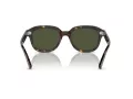 Ray-Ban Erik Sonnenbrille RB 0RB4398 902/31