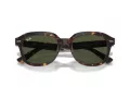 Ray-Ban Erik Sonnenbrille RB 0RB4398 902/31