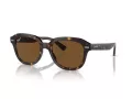 Ray-Ban Erik Sonnenbrille RB 0RB4398 902/57