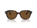 Ray-Ban Erik Sonnenbrille RB 0RB4398 902/57
