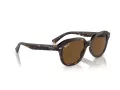 Ray-Ban Erik Sonnenbrille RB 0RB4398 902/57