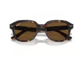 Ray-Ban Erik Sonnenbrille RB 0RB4398 902/57