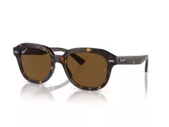 Ray-Ban Erik Sonnenbrille RB 0RB4398 902/57