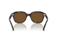 Ray-Ban Erik Sonnenbrille RB 0RB4398 902/57