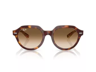 Ray-Ban Gina Sonnenbrille RB 4399 141451