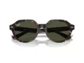 Ray-Ban Gina Sonnenbrille RB 0RB4399 902/31