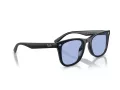 Ray-Ban Sonnenbrille RB 0RB4420 601/80