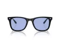 Ray-Ban Sonnenbrille RB 0RB4420 601/80