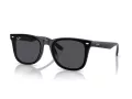 Ray-Ban Sonnenbrille RB 4420 601/87