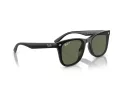Ray-Ban Sonnenbrille RB 4420 601/9A