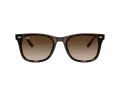 Ray-Ban Sonnenbrille RB 4420 710/13