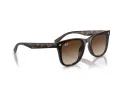Ray-Ban Sonnenbrille RB 4420 710/13