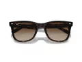 Ray-Ban Sonnenbrille RB 4420 710/13