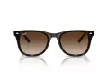 Ray-Ban Sonnenbrille RB 4420 710/13