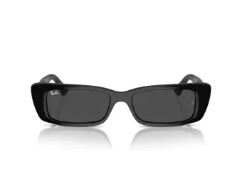 Ray-Ban Teru Sonnenbrille RB 4425 667787