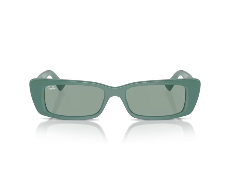 Ray-Ban Teru Sonnenbrille RB 4425 676282
